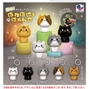 Glow! Powa Ponyo Cat Eyecatch My Charm - 40pc assort pack [Pre Order January 2027]