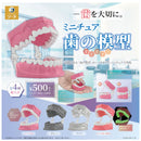 Miniature Teeth Model - 20pc assort pack [Pre Order January 2027]