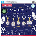 Shimaenaga Eyecatch Ring - 40pc assort pack [Pre Order January 2027][2nd Chance]