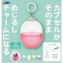 Capsule Turns in to Eyecatch Charm - 40pc assort pack [Pre Order January 2027]