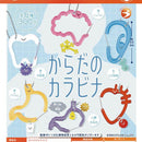 Body Carabiner - 40pc assort pack [Pre Order January 2027]