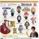 Harry Potter Friends Charm - 40pc assort pack [Pre Order January 2027]