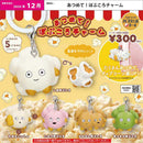 Collect! Popu Koro Charm - 40pc assort pack [Pre Order January 2027]