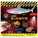 Ocean Dangerous Creature 3D Dictionary - 40pc assort pack [Pre Order January 2027]
