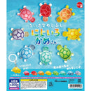 Rainbow Turtle Small Eyecatch - 50pc assort pack [Pre Order January 2027][2nd Chance]