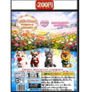 Flower for You Acrylic Plate Eyecatch Holder - 50pc assort pack [Pre Order February 2027]