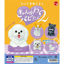 Small Eyecatch Kyun Kawa Puppy Tan 2 - 50pc assort pack [Pre Order February 2027]