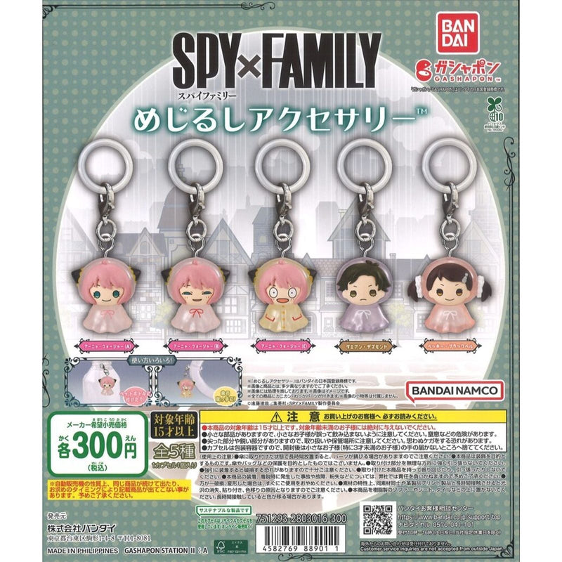 SPY x FAMILY Eyecatch Accessory - 40pc assort pack