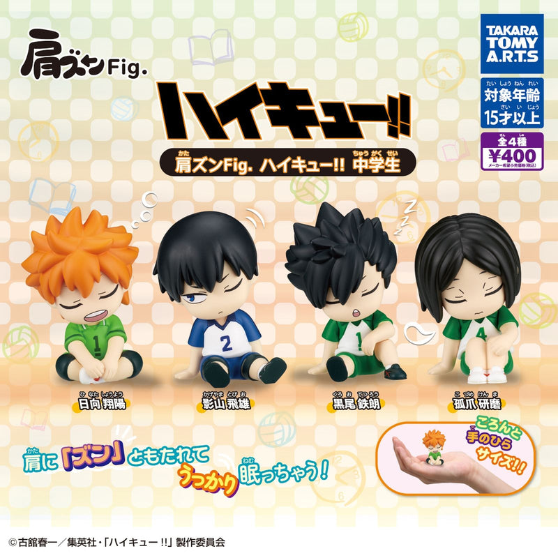 Haikyu!! Kata-zun Figure Middle School - 30pc assort pack