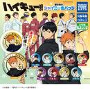 Haikyu!! Memorial Shiny Pin Badge - 40pc assort pack