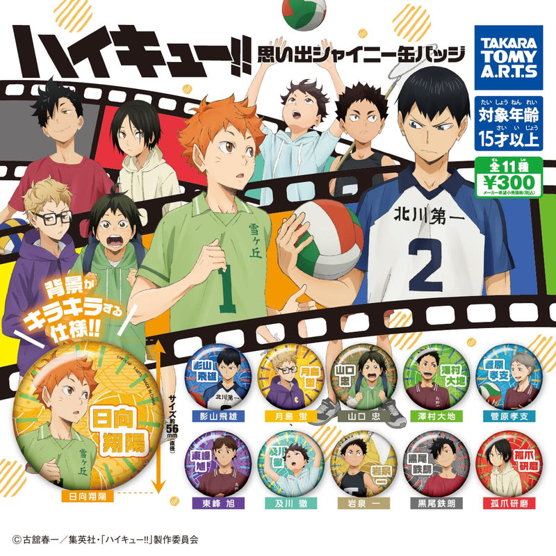 [30% OFF] Haikyu!! Memorial Shiny Pin Badge - 40pc assort pack