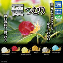 Hard Snail - 30pc assort pack