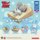 Tom and Jerry So Many Taffy Collection 2 - 30pc assort pack [Secret Pre Order January 2027]