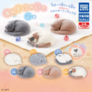 Anmonyaito 2 - 50pc assort pack