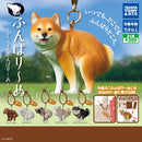 Funbari Dog Anywhere - 40pc assort pack