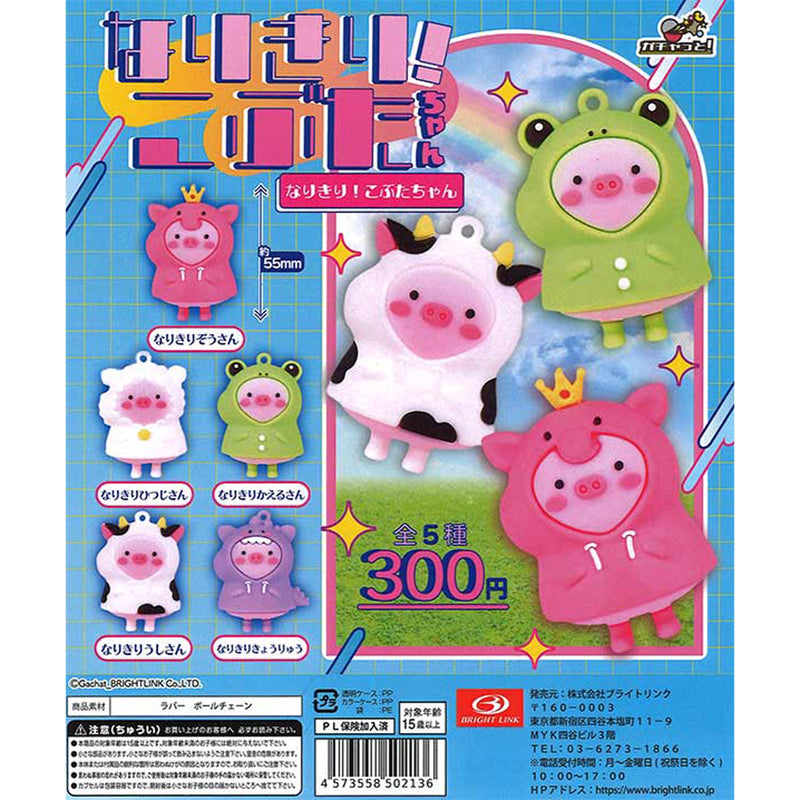 Costume Pig - 40pc assort pack