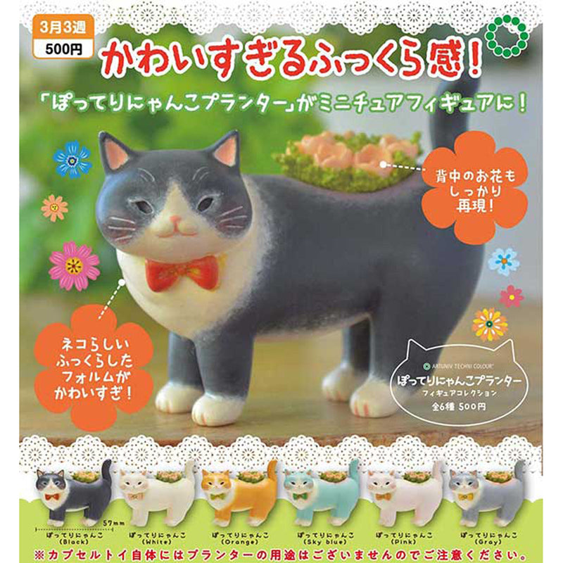 Fat Cat Planter Figure Collection - 20pc assort pack  [Pre Order April 2024][2nd Chance]