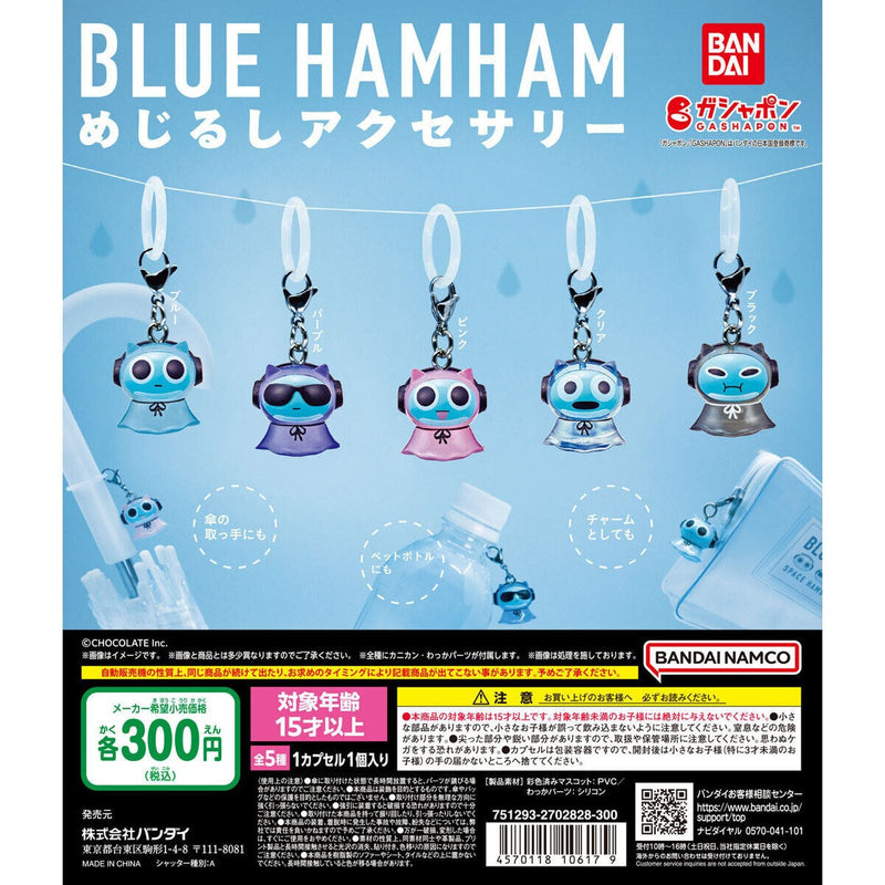 BLUE HAMHAM Eyecatch Accessory - 40pc assort pack