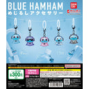 [30% OFF] BLUE HAMHAM Eyecatch Accessory - 40pc assort pack