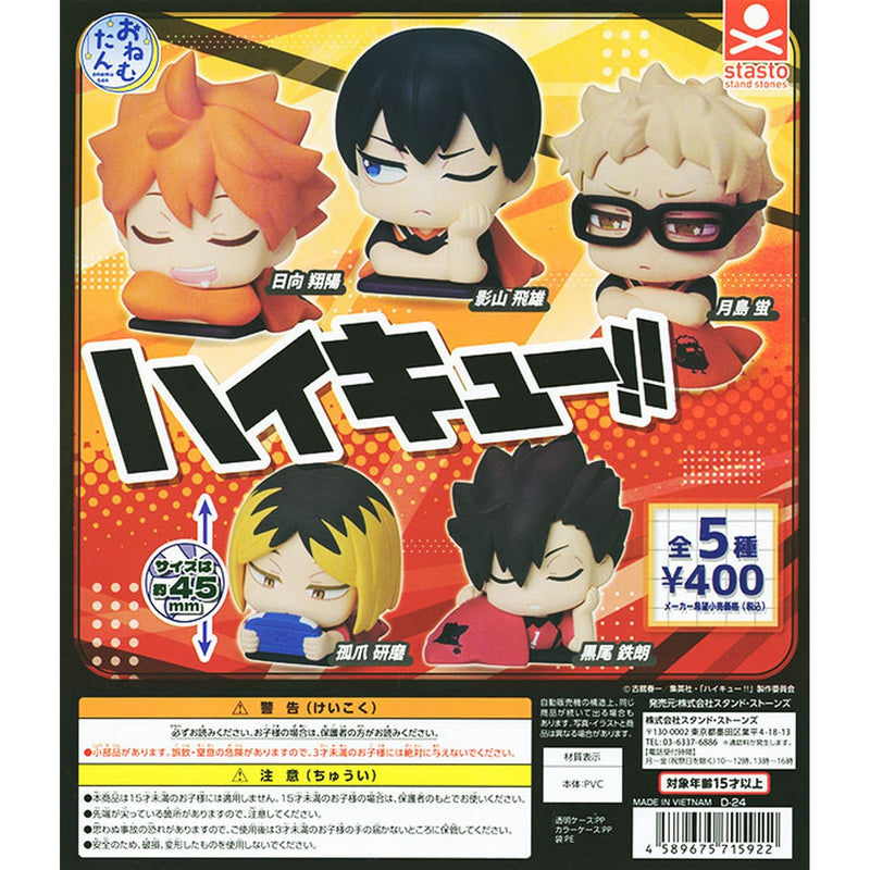 Haikyuu!! Onemutan - 30pc assort pack