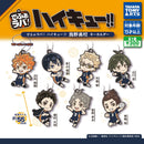 Haikyu!! Torino Highschool Deformed Rubber Keychain - 40pc assort pack