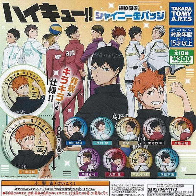 Haikyu!! Look Back Shiny Pin Badge - 40pc assort pack