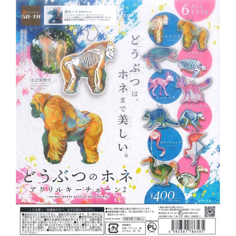 Animal Bone Arylic Keychain vol.2 - 30 pc assort pack