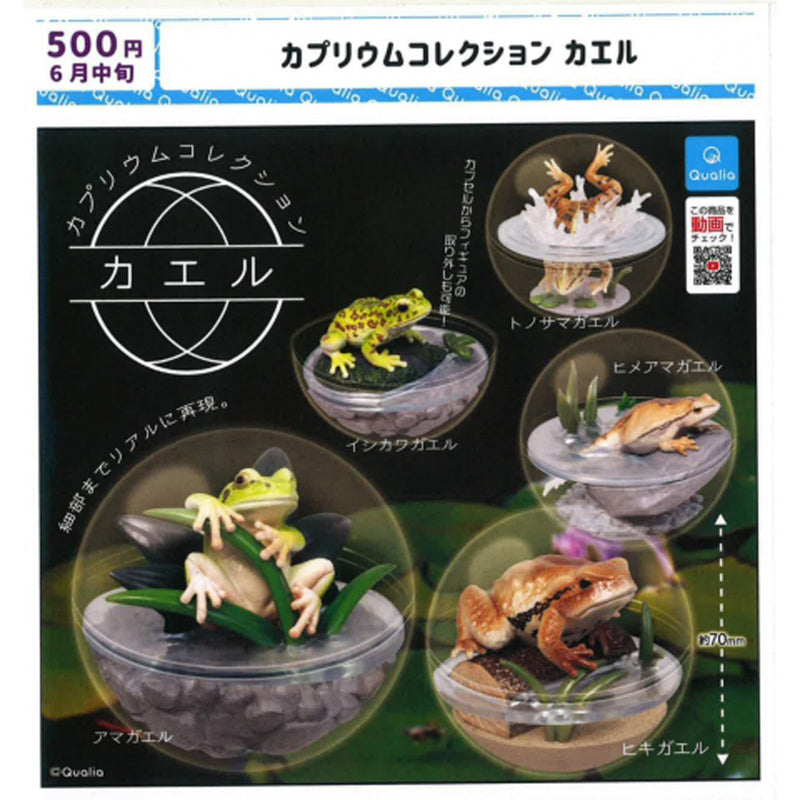 CAPUARIUM Collection Frog - 20 pc assort pack [Pre Order June 2023][2nd Chance]